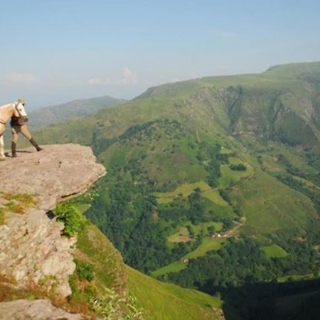 Gite Individuel Au Pays Basque A 1,5Km De St-Jean-Pied-De-Port Saint-Jean-Pied-de-Port Dış mekan fotoğraf