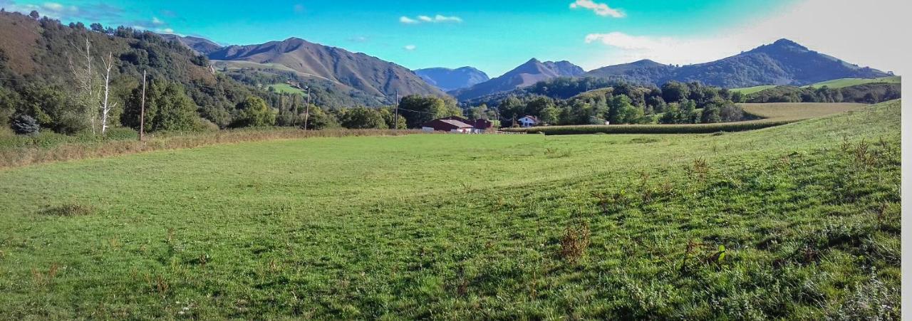 Gite Individuel Au Pays Basque A 1,5Km De St-Jean-Pied-De-Port Saint-Jean-Pied-de-Port Dış mekan fotoğraf