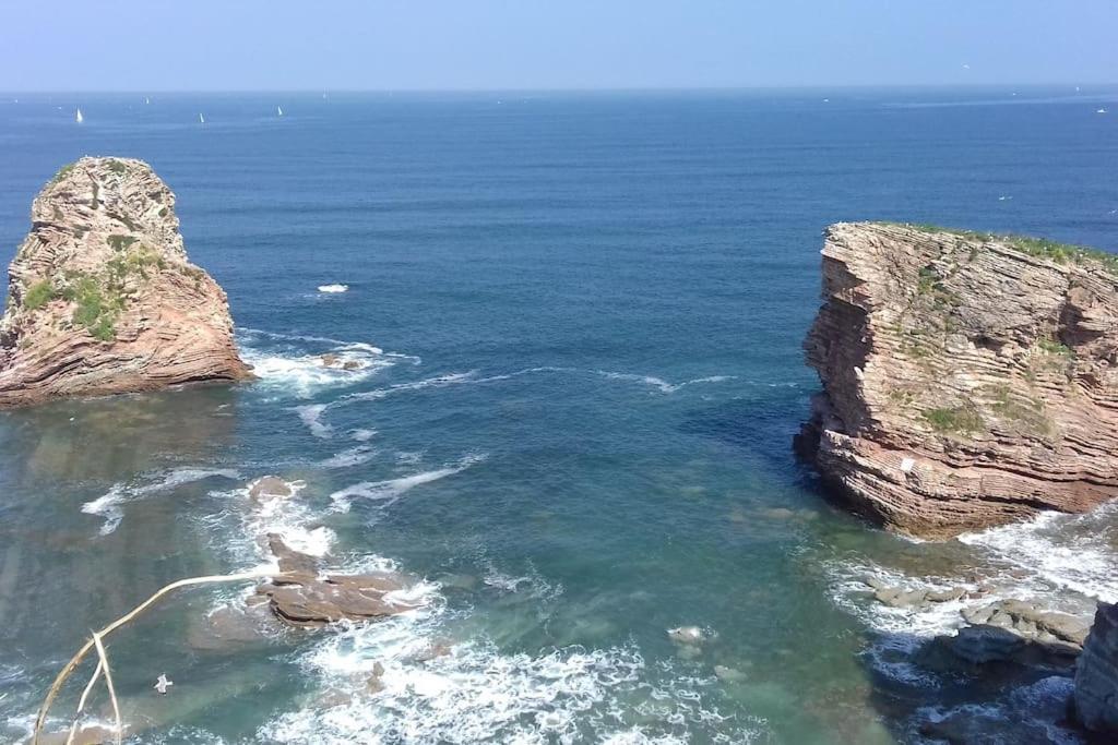 Gite Individuel Au Pays Basque A 1,5Km De St-Jean-Pied-De-Port Saint-Jean-Pied-de-Port Dış mekan fotoğraf