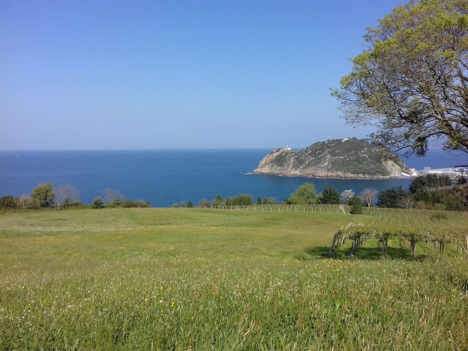 Gite Individuel Au Pays Basque A 1,5Km De St-Jean-Pied-De-Port Saint-Jean-Pied-de-Port Dış mekan fotoğraf