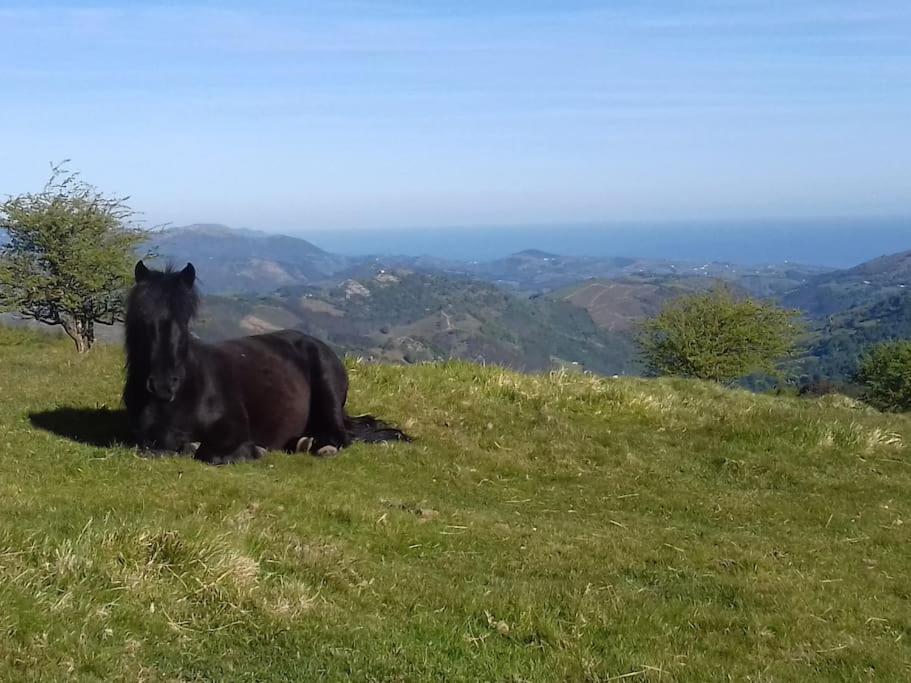 Gite Individuel Au Pays Basque A 1,5Km De St-Jean-Pied-De-Port Saint-Jean-Pied-de-Port Dış mekan fotoğraf