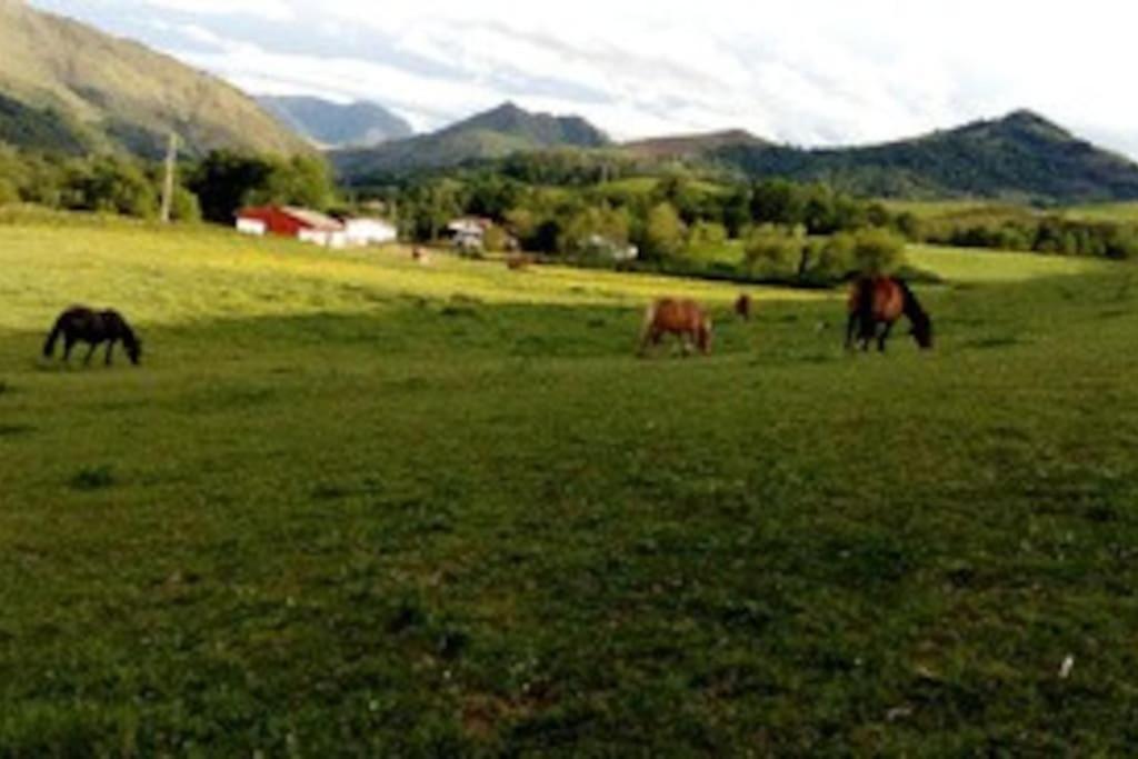 Gite Individuel Au Pays Basque A 1,5Km De St-Jean-Pied-De-Port Saint-Jean-Pied-de-Port Dış mekan fotoğraf